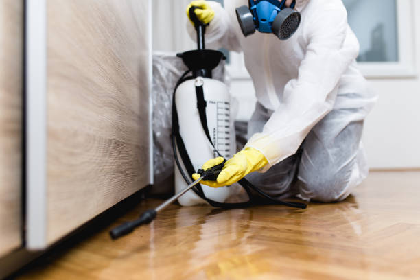 Best Best Pest Control Companies  in Fordoche, LA