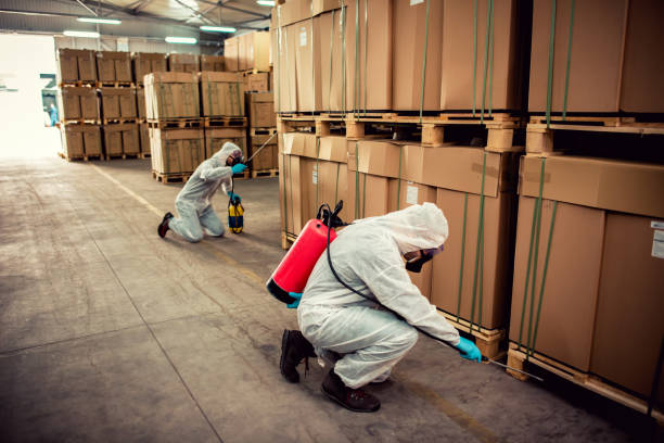 Best Emergency Pest Control  in Fordoche, LA