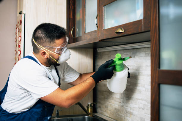 Best Cockroach Control Services  in Fordoche, LA
