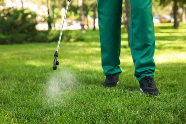 Best Ant Control Services  in Fordoche, LA