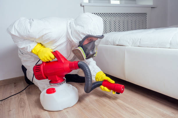 Best Pest Inspection Near Me  in Fordoche, LA
