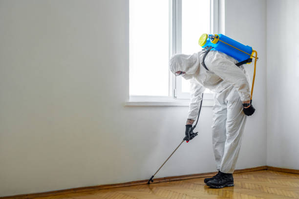 Best Wildlife Control Services  in Fordoche, LA