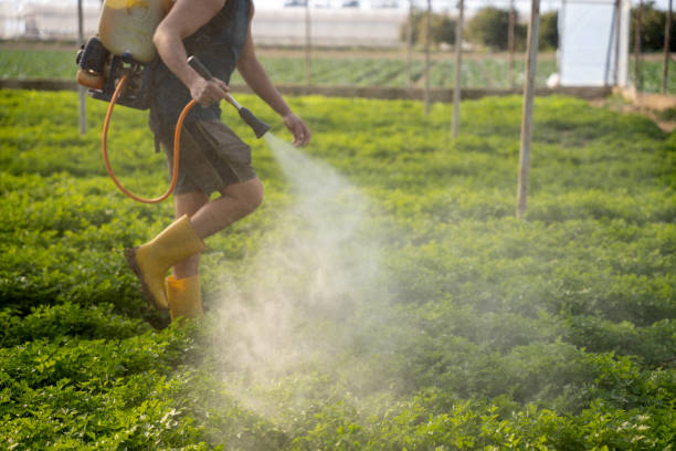 Best Pest Prevention Services  in Fordoche, LA