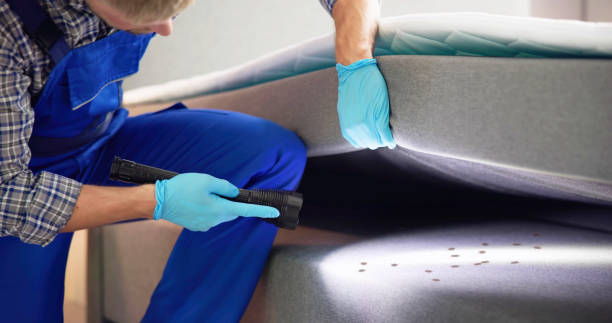 Pest Prevention Services in Fordoche, LA