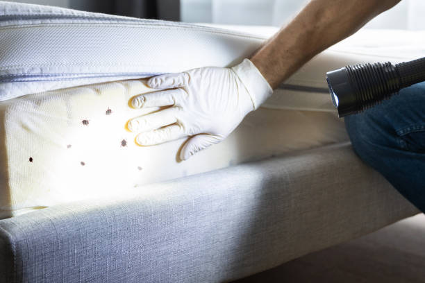 Best Affordable Pest Control Services  in Fordoche, LA