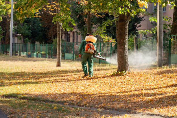 Best Bed Bug Extermination  in Fordoche, LA