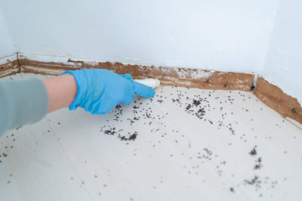 Best Affordable Pest Control Services  in Fordoche, LA