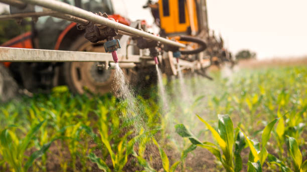 Best Commercial Pest Control Services  in Fordoche, LA